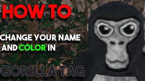 tvkogitt3 You can join my discord at httpsdiscord. . How to change your color in gorilla tag